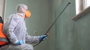 Neosho, MO Mold Remediation Company