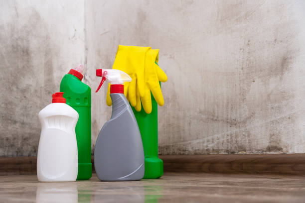 Best Black Mold Removal  in Neosho, MO